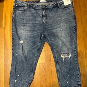 NWT women’s plus size Blue Distressed Jeans